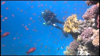Sharm El Sheikh Turu
