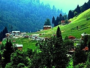 tur